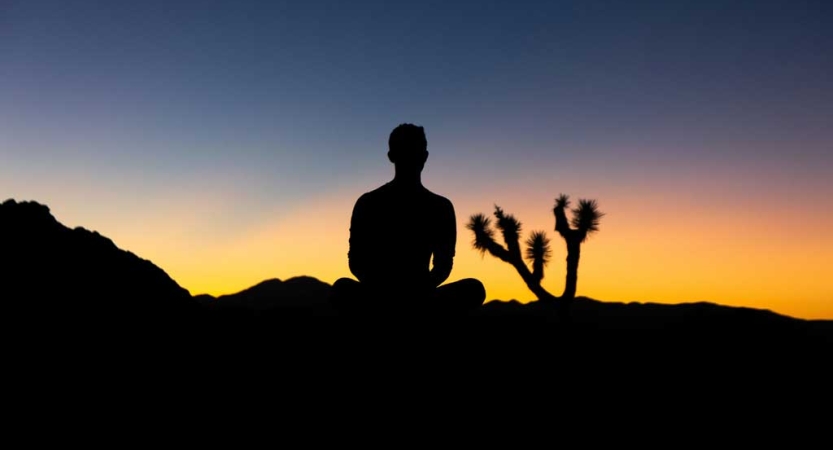 The silhouette of a person and a joshua tree are illuminated by the setting sun